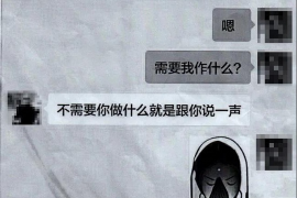 铜陵贷款清欠服务